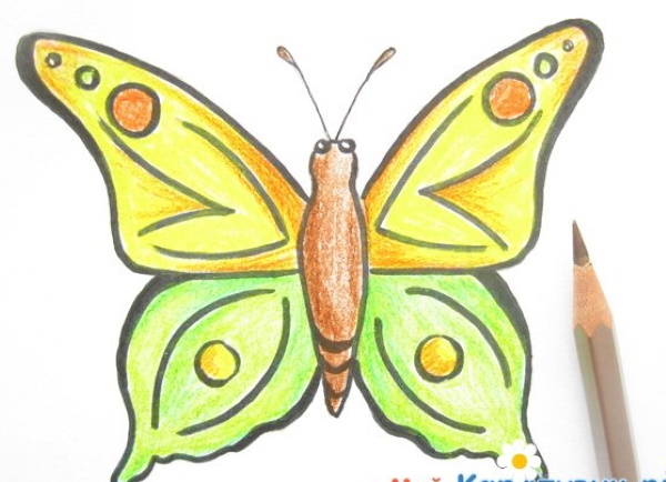 Schmetterlingszeichnungen für Kinder, Umrisse, Ausmalen mit Bleistift, Farben, Gouache