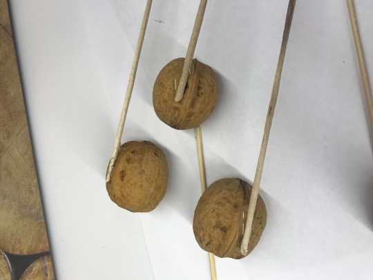 Sträuße aus Nüssen und Trockenfrüchten. DIY-Meisterkurse für Anfänger Schritt für Schritt