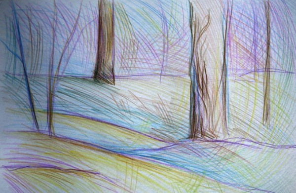 Grafik: Bleistiftzeichnungen für Anfänger Schritt für Schritt: Landschaft, Tiere, Blumen, Menschen