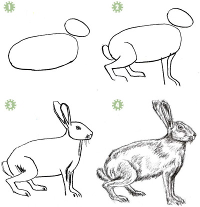 Grafik: Bleistiftzeichnungen für Anfänger Schritt für Schritt: Landschaft, Tiere, Blumen, Menschen