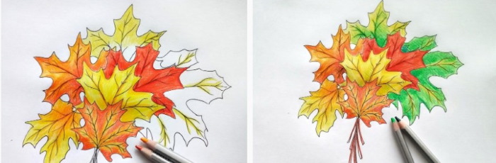 Ahornblatt, einfache Bleistiftzeichnung, Farbe Schritt für Schritt für Anfänger