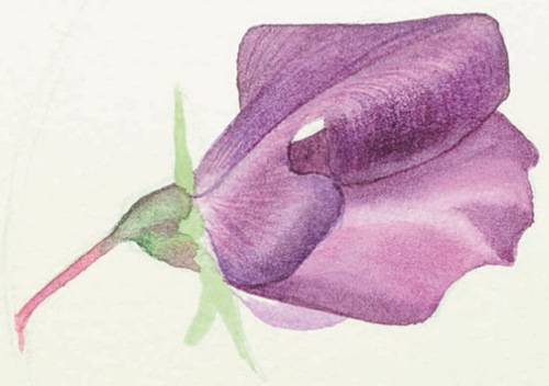 Glocke, Zeichnungen für Kinder, Blume mit Bleistift, malen Schritt für Schritt