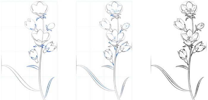 Glocke, Zeichnungen für Kinder, Blume mit Bleistift, malen Schritt für Schritt