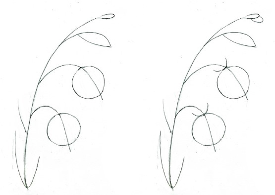 Glocke, Zeichnungen für Kinder, Blume mit Bleistift, malen Schritt für Schritt