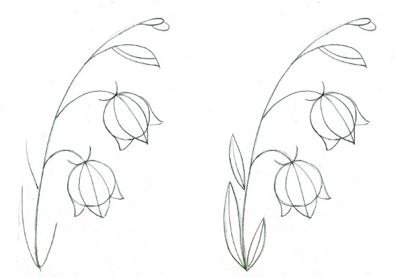 Glocke, Zeichnungen für Kinder, Blume mit Bleistift, malen Schritt für Schritt