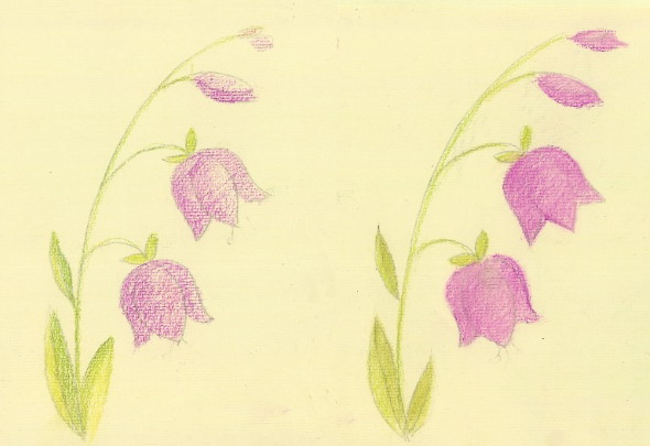 Glocke, Zeichnungen für Kinder, Blume mit Bleistift, malen Schritt für Schritt