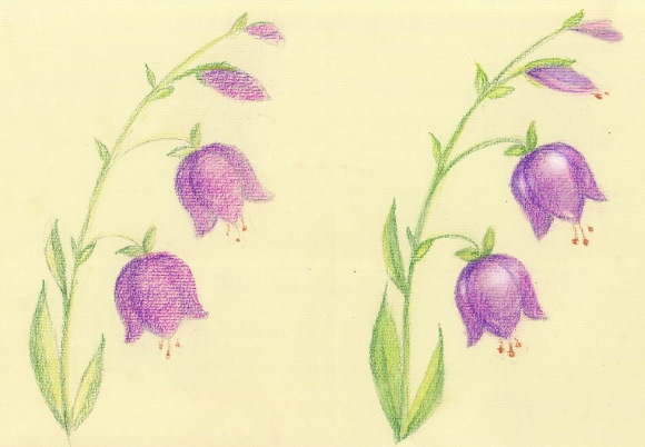 Glocke, Zeichnungen für Kinder, Blume mit Bleistift, malen Schritt für Schritt