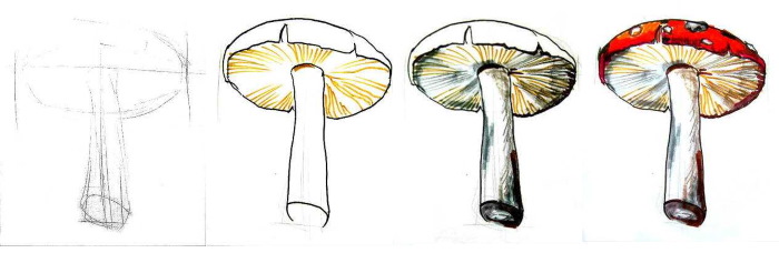 Fliegenpilz. Zeichnen für Kinder mit Bleistift, Gouache Schritt für Schritt, Meisterkurse