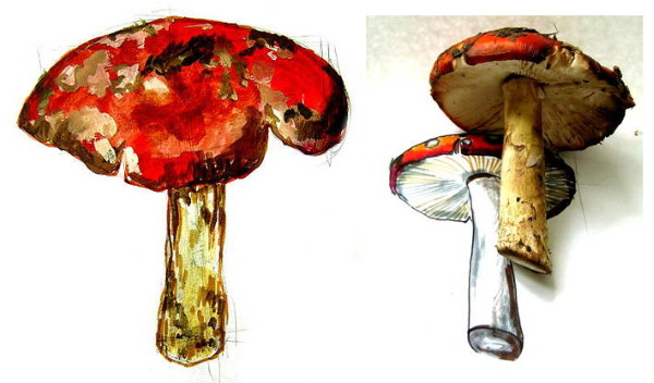 Fliegenpilz. Zeichnen für Kinder mit Bleistift, Gouache Schritt für Schritt, Meisterkurse