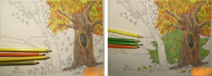 Herbstliche Bleistiftzeichnungen: Blumenstrauß, Wald, Blätter, Landschaft, Laubfall Schritt für Schritt für Kinder