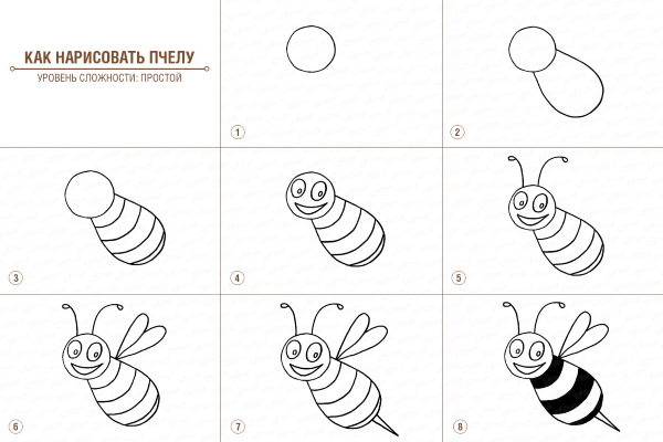 Bienenwabe. Zeichnen mit einem Grafikstift, Schablonen für Anfänger