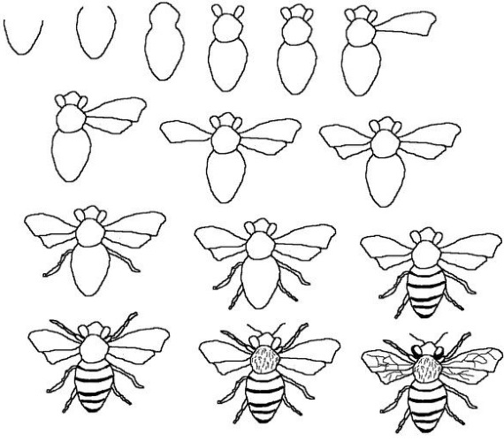 Bienenwabe. Zeichnen mit einem Grafikstift, Schablonen für Anfänger
