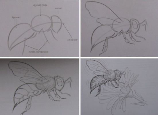 Bienenwabe. Zeichnen mit einem Grafikstift, Schablonen für Anfänger