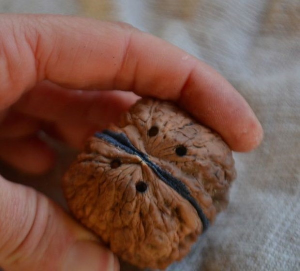 Basteln aus Walnussschalen, Plastilin, Tannenzapfen für Kinder