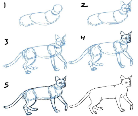 Disegni di gatti a matita, facili, carini e bellissimi, passo dopo passo, da copiare su un album da disegno, LD