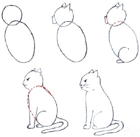 Disegni di gatti a matita, facili, carini e bellissimi, passo dopo passo, da copiare su un album da disegno, LD