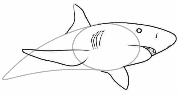 Zeichnung eines Hais für Kinder mit einem Bleistift zum Kopieren, Ausmalen im Meer, Wasser, Farbe mit offenem Mund, einem Lächeln