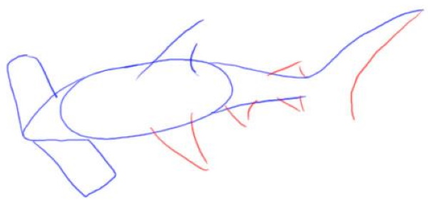 Zeichnung eines Hais für Kinder mit einem Bleistift zum Kopieren, Ausmalen im Meer, Wasser, Farbe mit offenem Mund, einem Lächeln