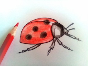Marienkäferzeichnungen für Kinder mit Bleistift, Farbe auf Stein