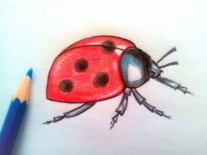 Marienkäferzeichnungen für Kinder mit Bleistift, Farbe auf Stein