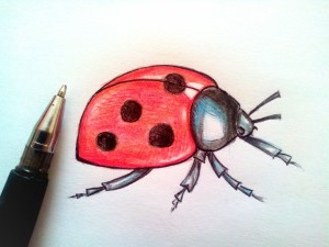 Marienkäferzeichnungen für Kinder mit Bleistift, Farbe auf Stein