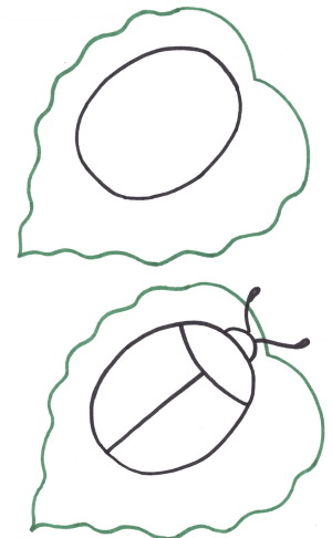 Käfer - Schritt für Schritt zeichnen für Kinder mit Bleistift