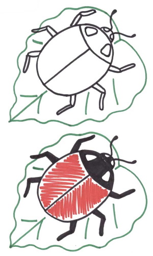 Käfer - Schritt für Schritt zeichnen für Kinder mit Bleistift