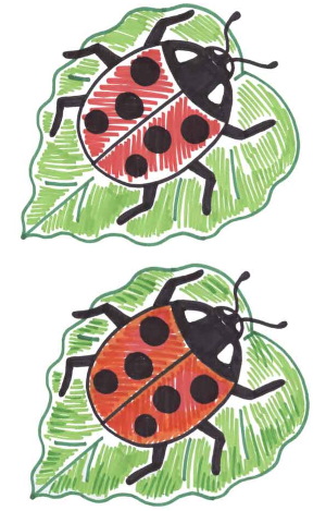Käfer - Schritt für Schritt zeichnen für Kinder mit Bleistift