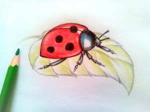 Marienkäferzeichnungen für Kinder mit Bleistift, Farbe auf Stein