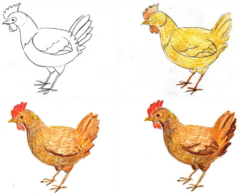 Disegno di pollo per bambini con matita da colorare per bambini con polli, gattini da una fiaba/