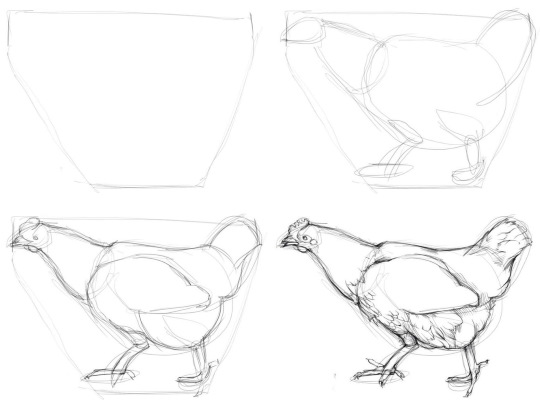 Disegno di pollo per bambini con matita da colorare per bambini con polli, gattini da una fiaba/