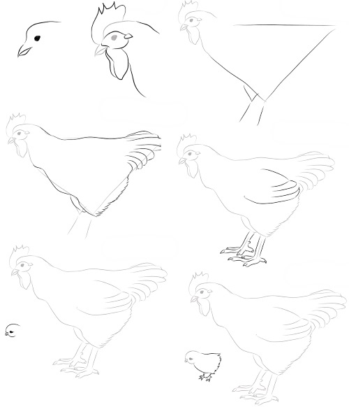 Disegno di pollo per bambini con matita da colorare per bambini con polli, gattini da una fiaba/