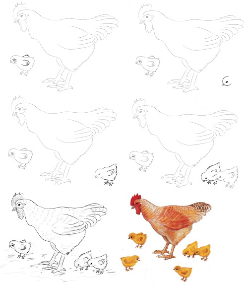 Disegno di pollo per bambini con matita da colorare per bambini con polli, gattini da una fiaba/