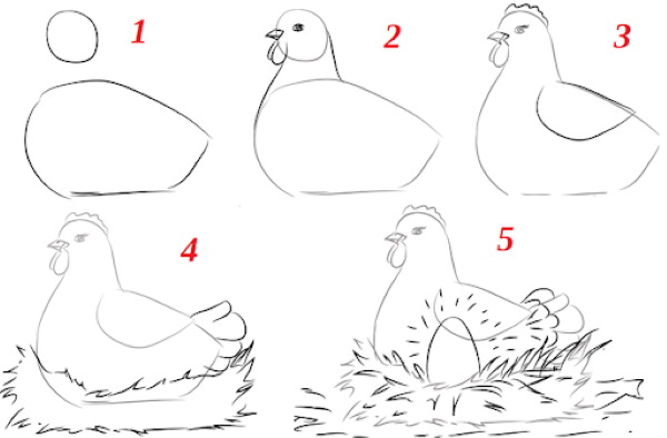 Disegno di pollo per bambini con matita da colorare per bambini con polli, gattini da una fiaba/