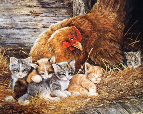 Disegno di pollo per bambini con matita da colorare per bambini con polli, gattini da una fiaba/
