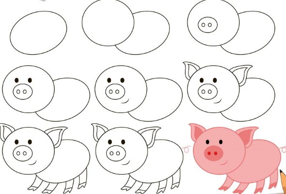 Zeichnungen eines Ferkels (Schweins) für Kinder Schritt für Schritt mit einem Bleistift
