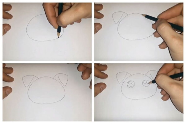 Zeichnungen eines Ferkels (Schweins) für Kinder Schritt für Schritt mit einem Bleistift