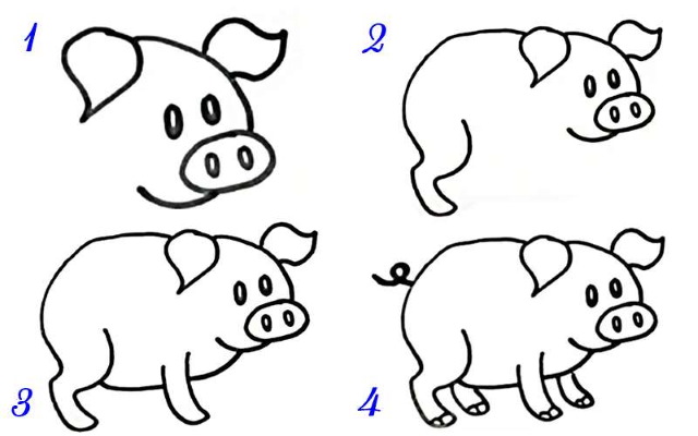 Zeichnungen eines Ferkels (Schweins) für Kinder Schritt für Schritt mit einem Bleistift