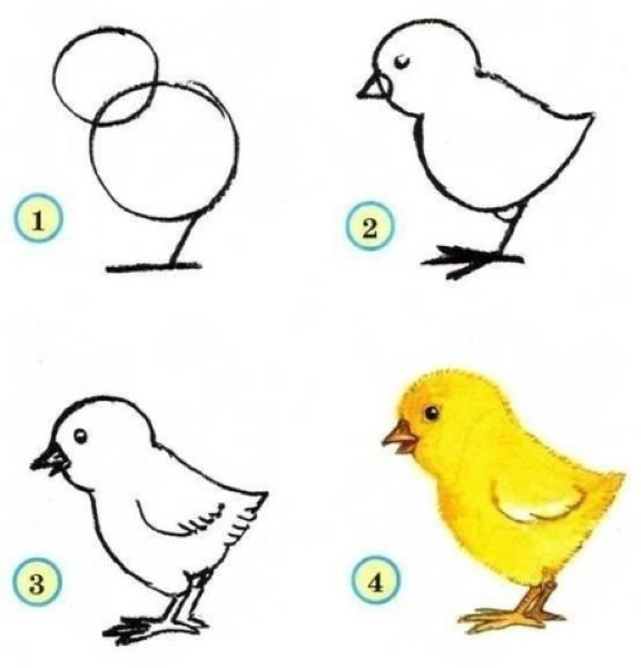 Zeichnungen eines Vogels für Kinder mit einem Bleistift zum Kopieren auf einen Ast, einen Futterspender, Drähte