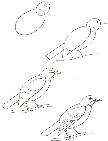 Zeichnungen eines Vogels für Kinder mit einem Bleistift zum Kopieren auf einen Ast, einen Futterspender, Drähte