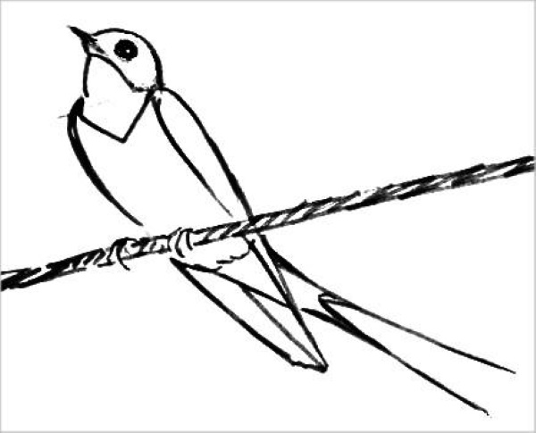 Zeichnungen eines Vogels für Kinder mit einem Bleistift zum Kopieren auf einen Ast, einen Futterspender, Drähte