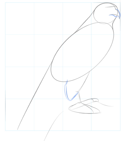 Zeichnungen eines Vogels für Kinder mit einem Bleistift zum Kopieren auf einen Ast, einen Futterspender, Drähte