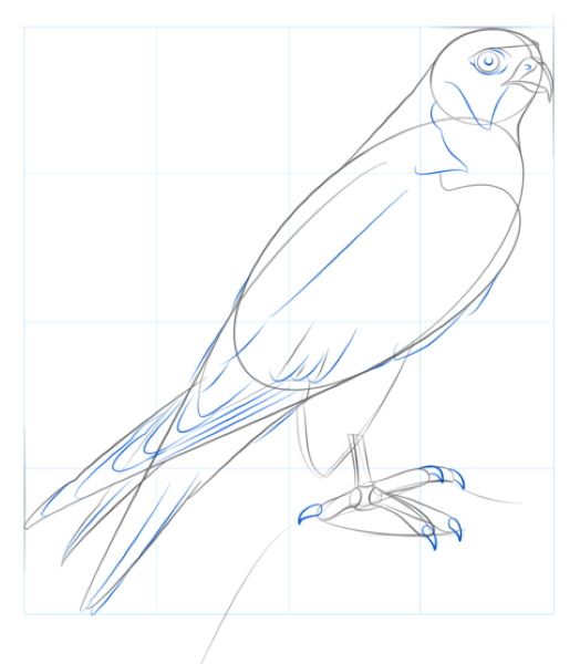Zeichnungen eines Vogels für Kinder mit einem Bleistift zum Kopieren auf einen Ast, einen Futterspender, Drähte