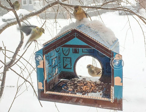 Vogelhäuschen aus Karton. So machen Sie es selbst, Fotos, Vorlagen