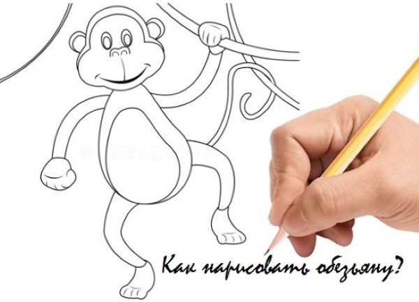Affenzeichnung für Kinder mit Bleistift einfach, schwarz und weiß, Farbe, Färbung