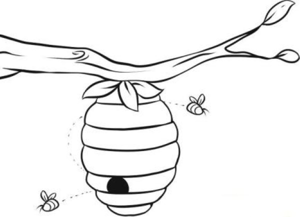 Zeichnung einer Biene für Kinder mit einem Bleistift zum Kopieren, Ausmalen, Schablonen
