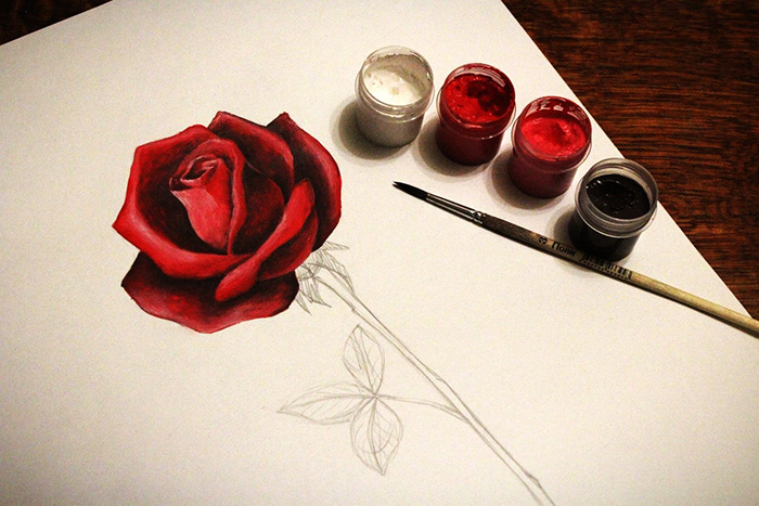 How to draw a rose with a pencil step by step for beginners beautifully. Photo