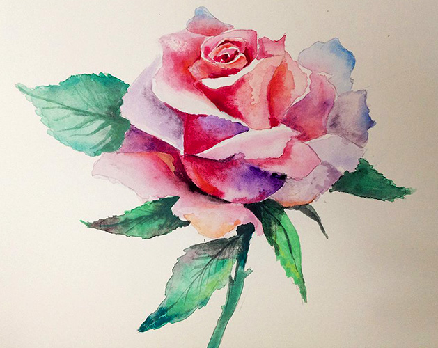 How to draw a rose with a pencil step by step for beginners beautifully. Photo