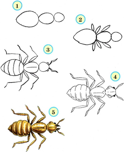 Ameisenzeichnung für Kinder in Bleistift schwarz und weiß, Farbe einfach, Cartoon, Märchen