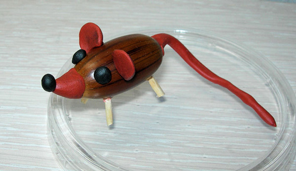 Plastilinmaus für Kinder. Wie man formt, Schritt für Schritt mit Fotos, Video